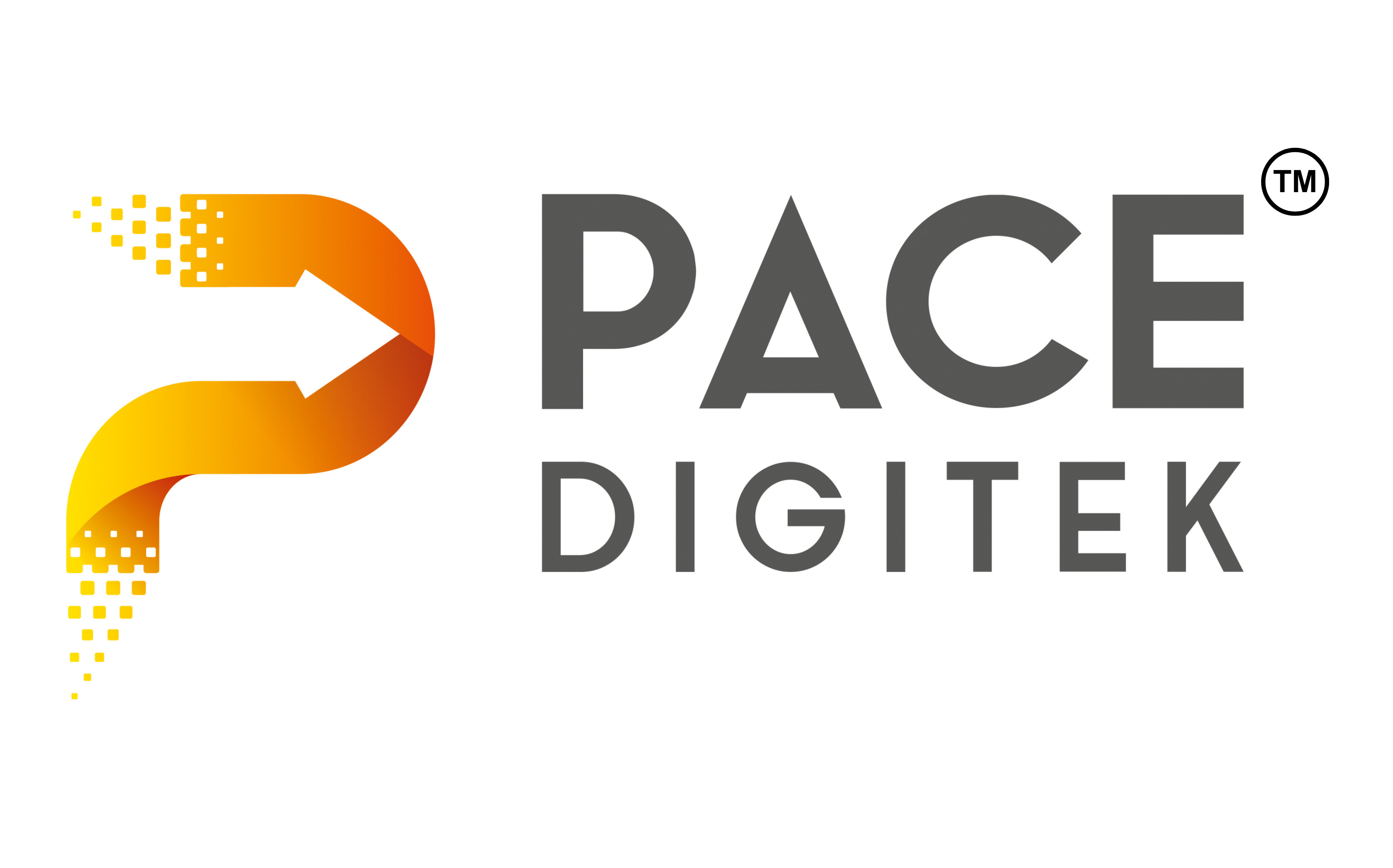 Pace Digitek Pace Digitek